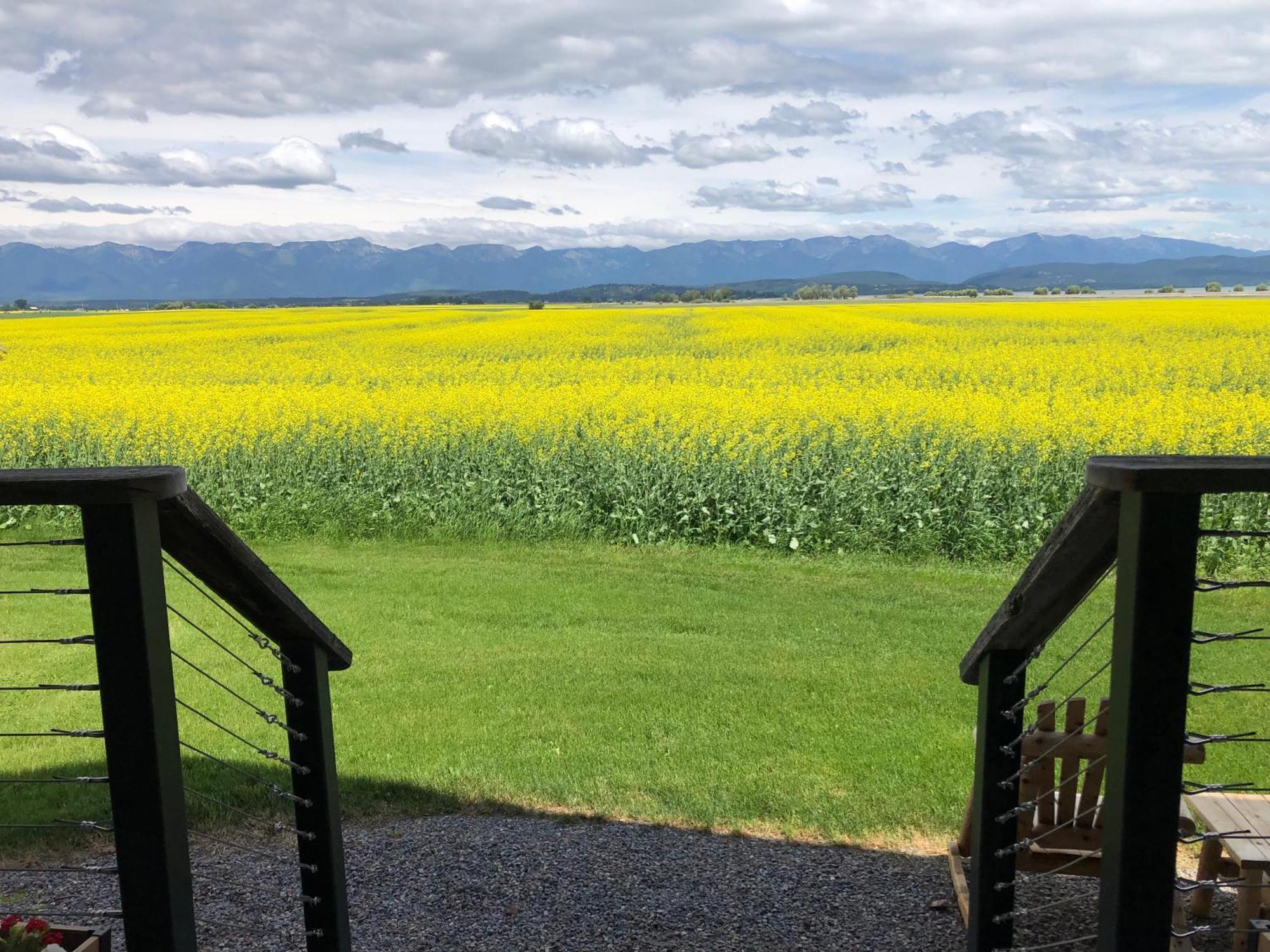New Cabin With Spectacular Views Of Flathead Lake. Somers Exteriör bild